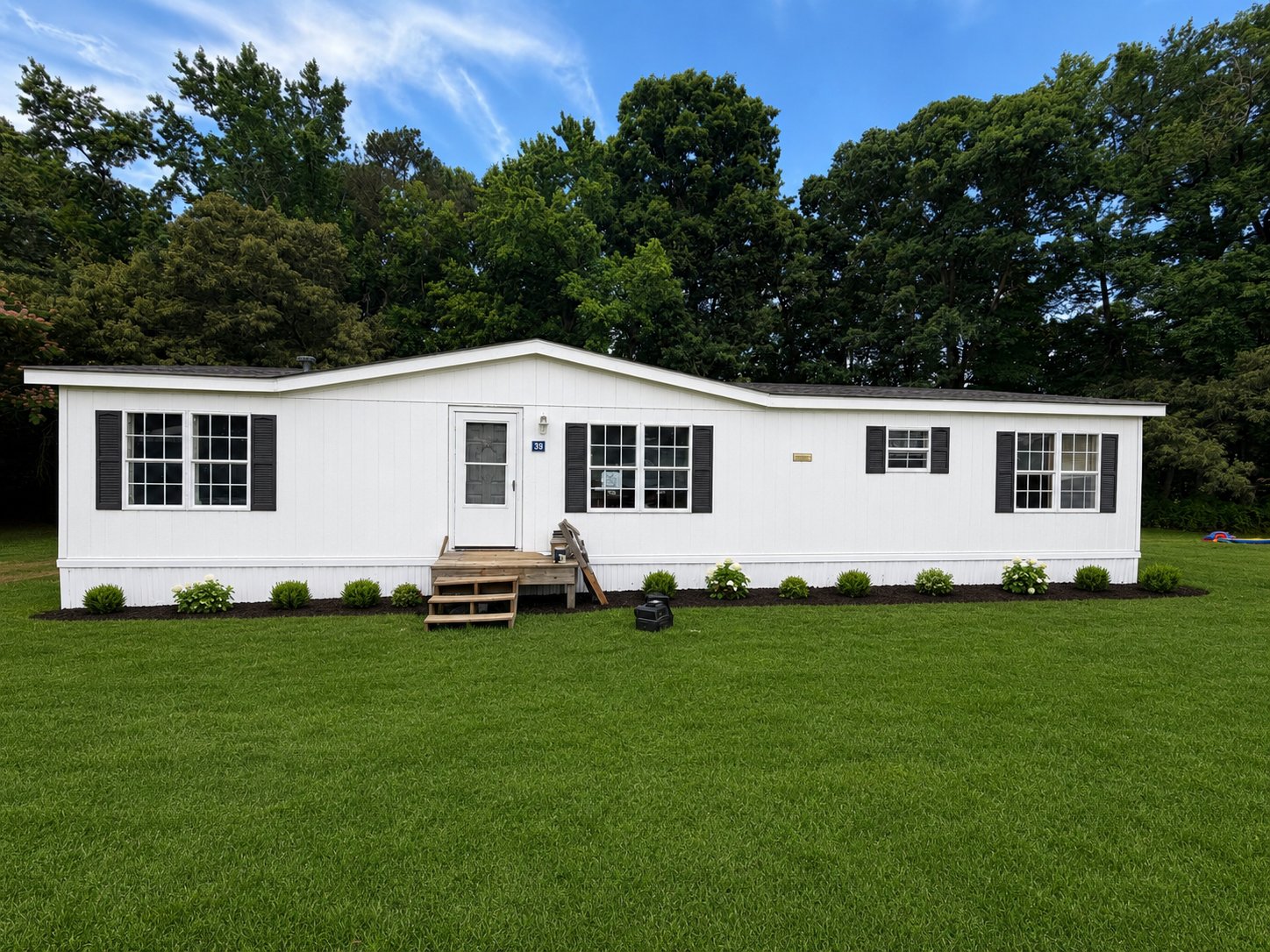Willow Springs House: 39 Alex St.