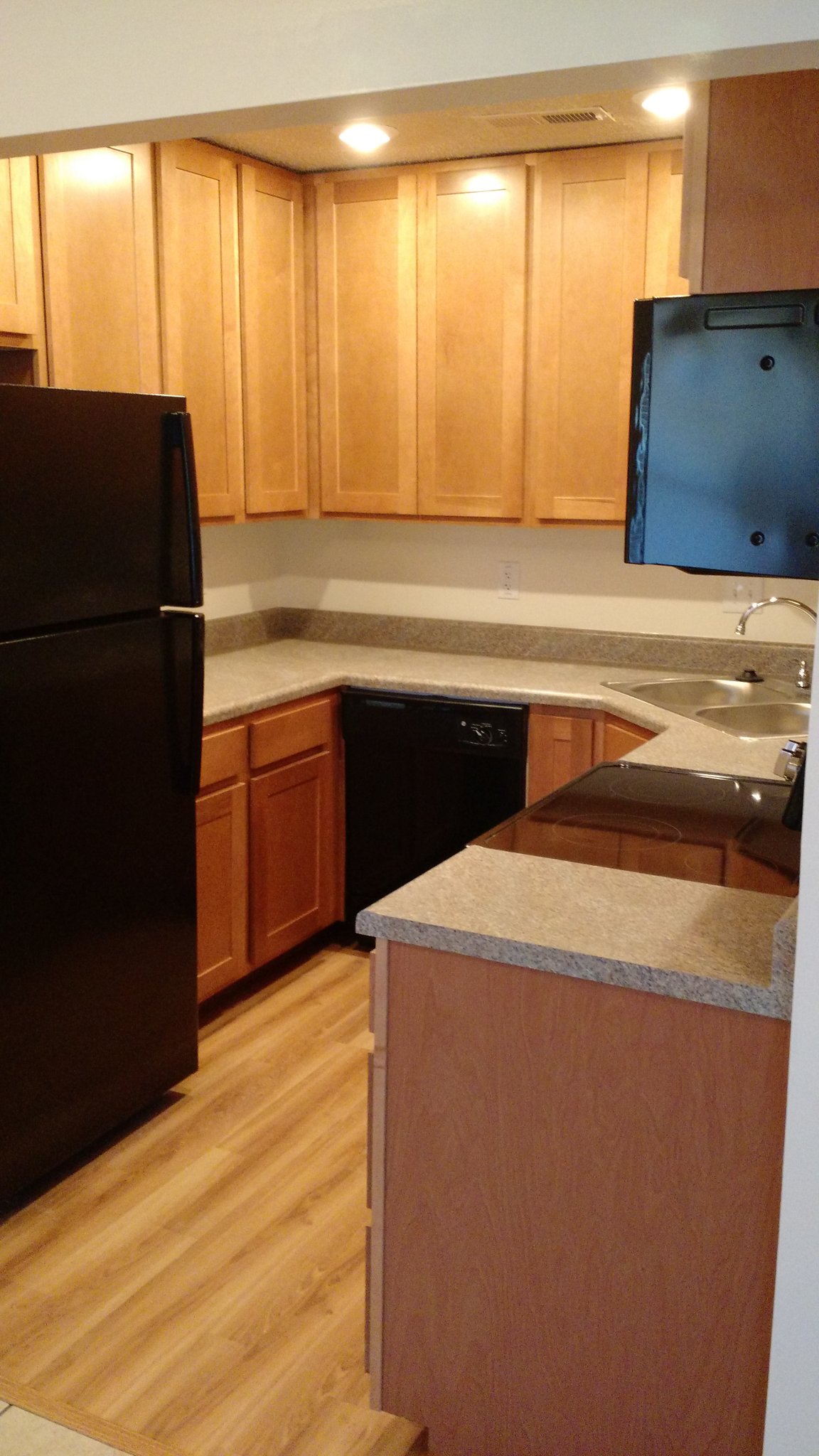 Festus Apartment: 333 Dublin Ln
