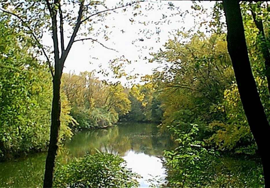Lisle Condo: 5501 Lakeside Dr