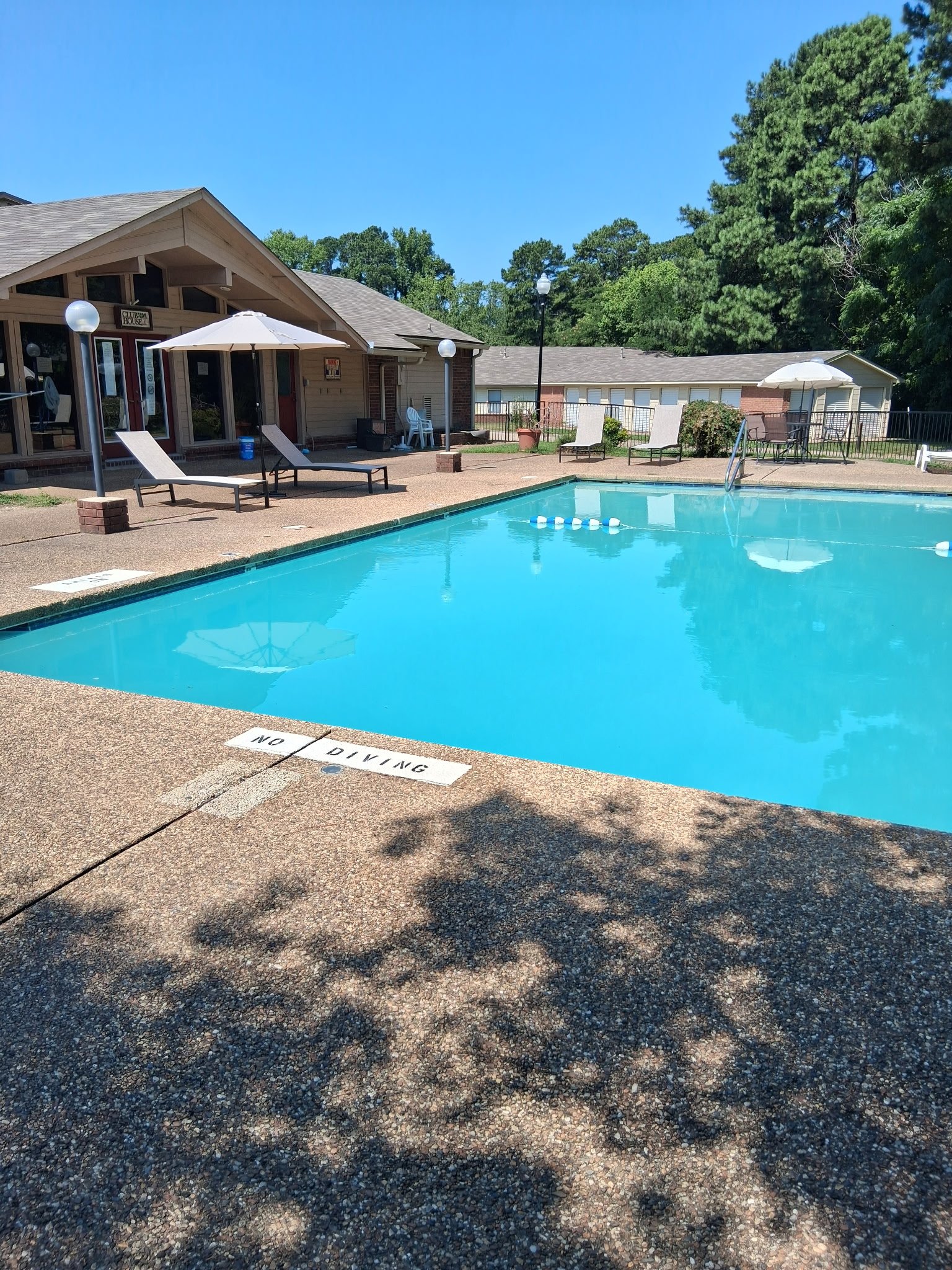 Hot Springs Apartment: 410 Oakwood Ave