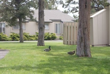 Bend Multiplex: 179-2 NE Isaiah Dr