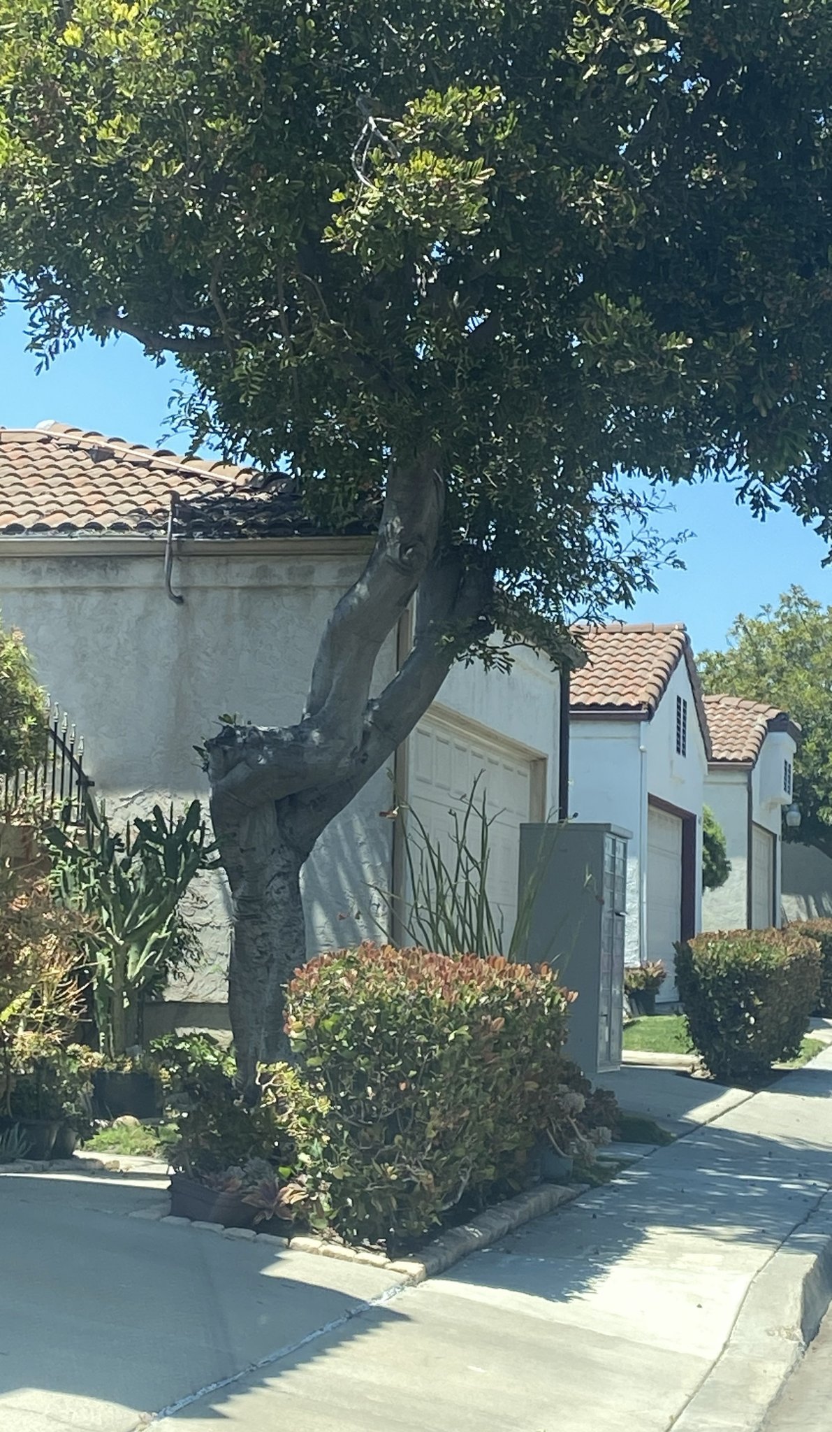 San Diego House: 4433 Logan Ave
