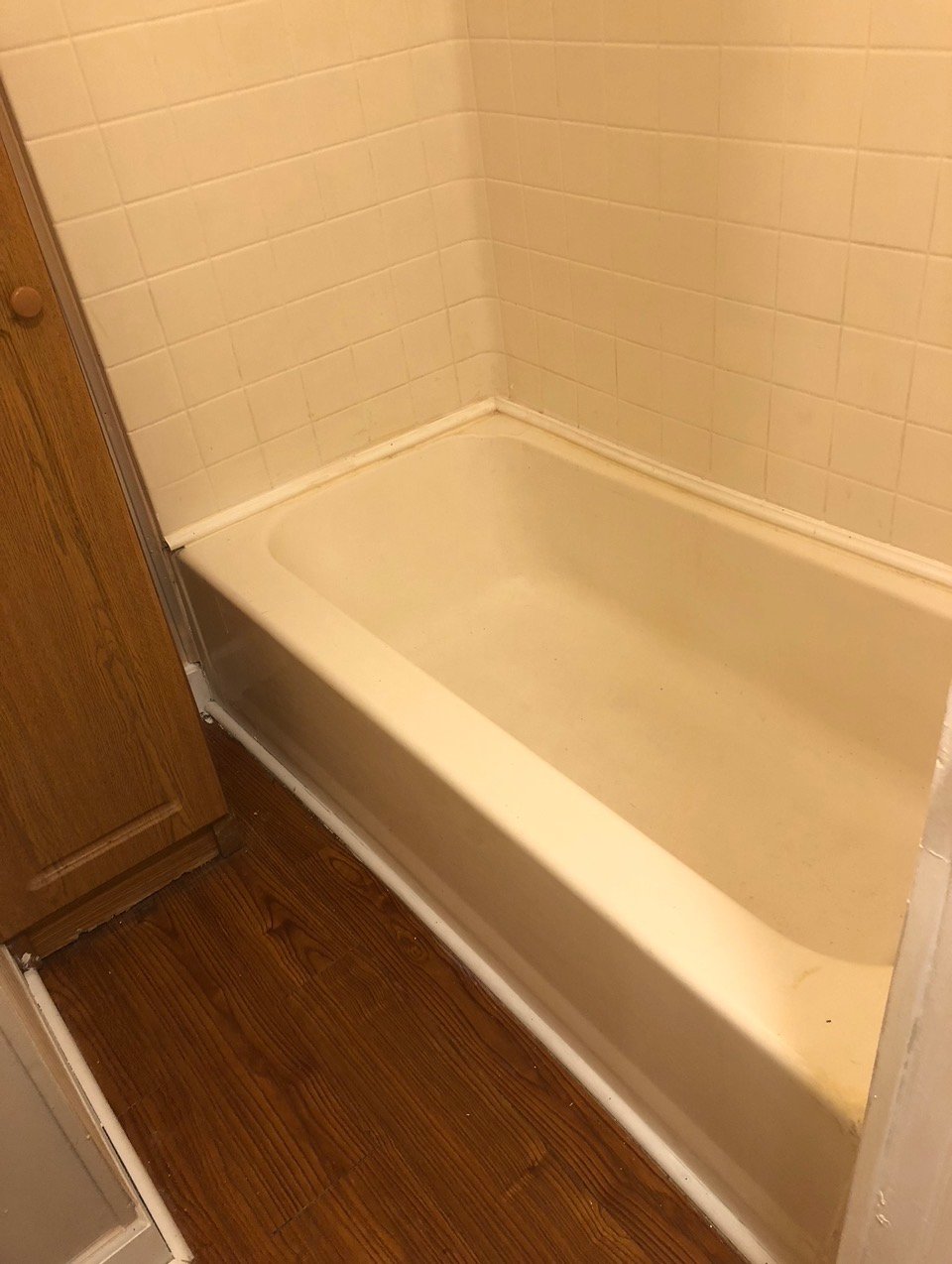 Chicago Apartment: 1518 N Greenview Ave