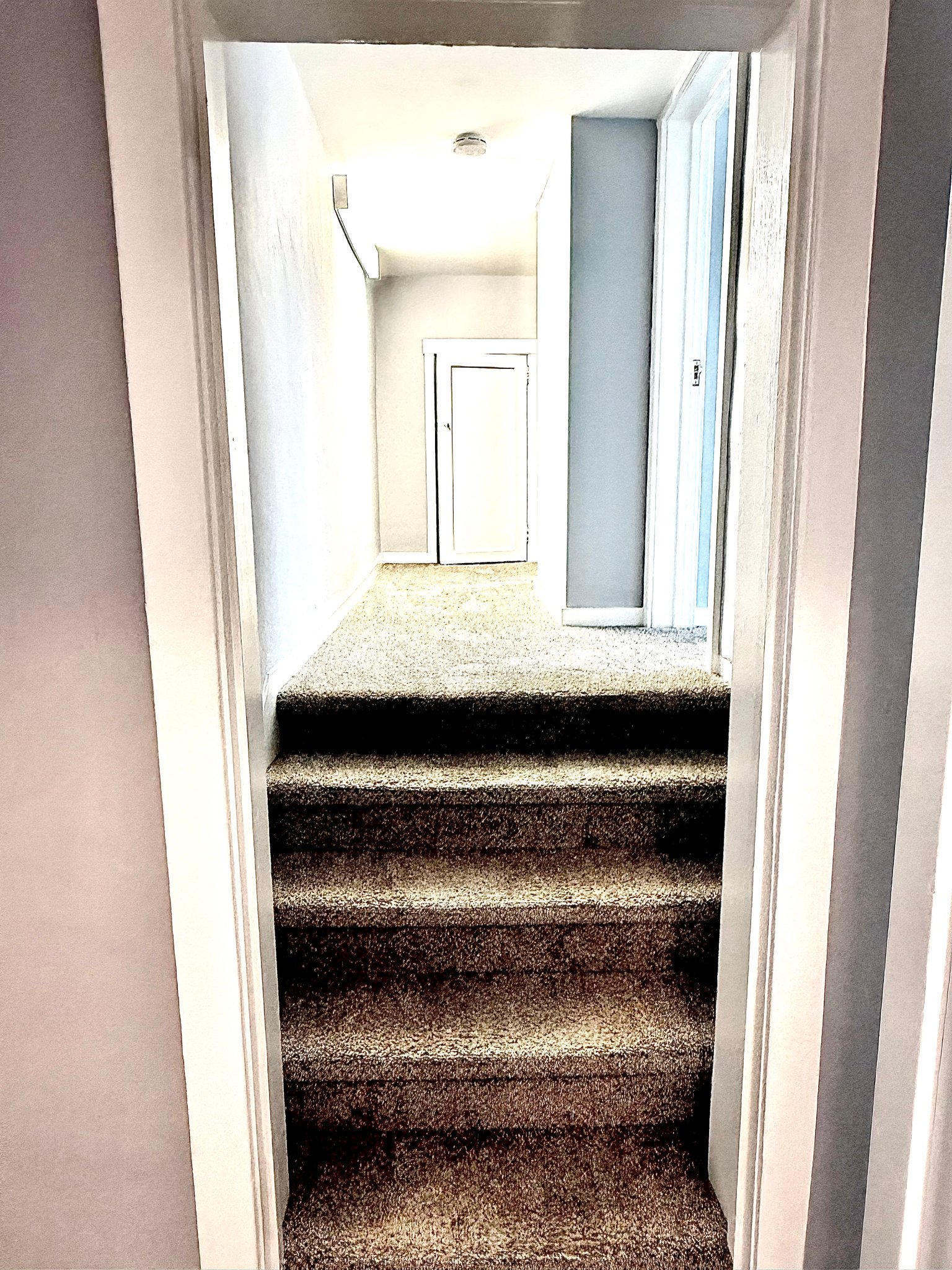 Berkeley Apartment: 2818 Telegraph Avenue