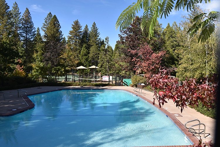 Murphys Condo: 504 Dogwood Dr.