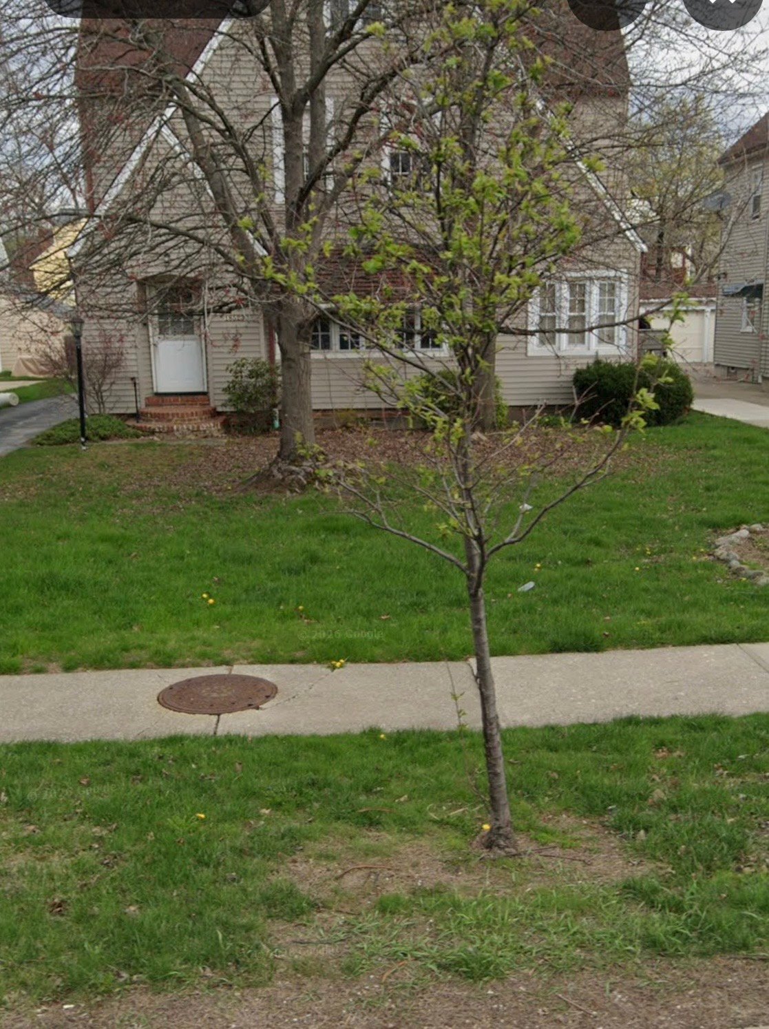 Beachwood Multiplex: 18523 Chagrin Blvd