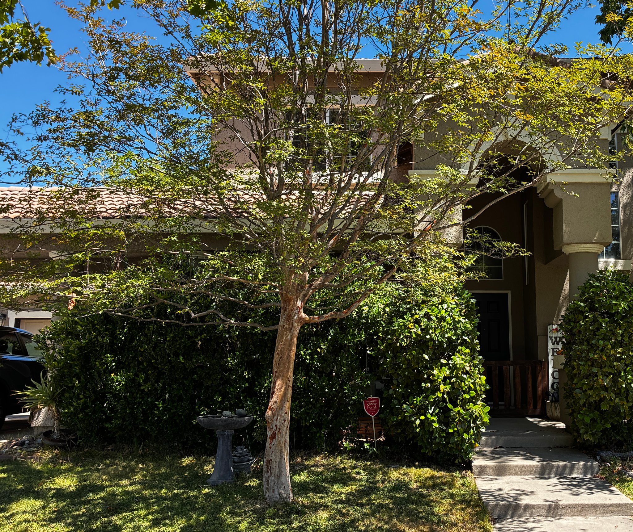 Roseville House: 1 Anacapa Dr