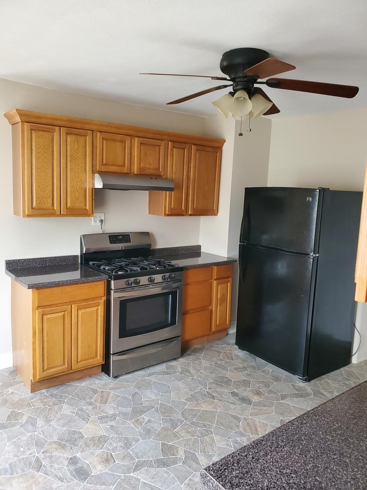 Webster Multiplex: 12R Prospect St