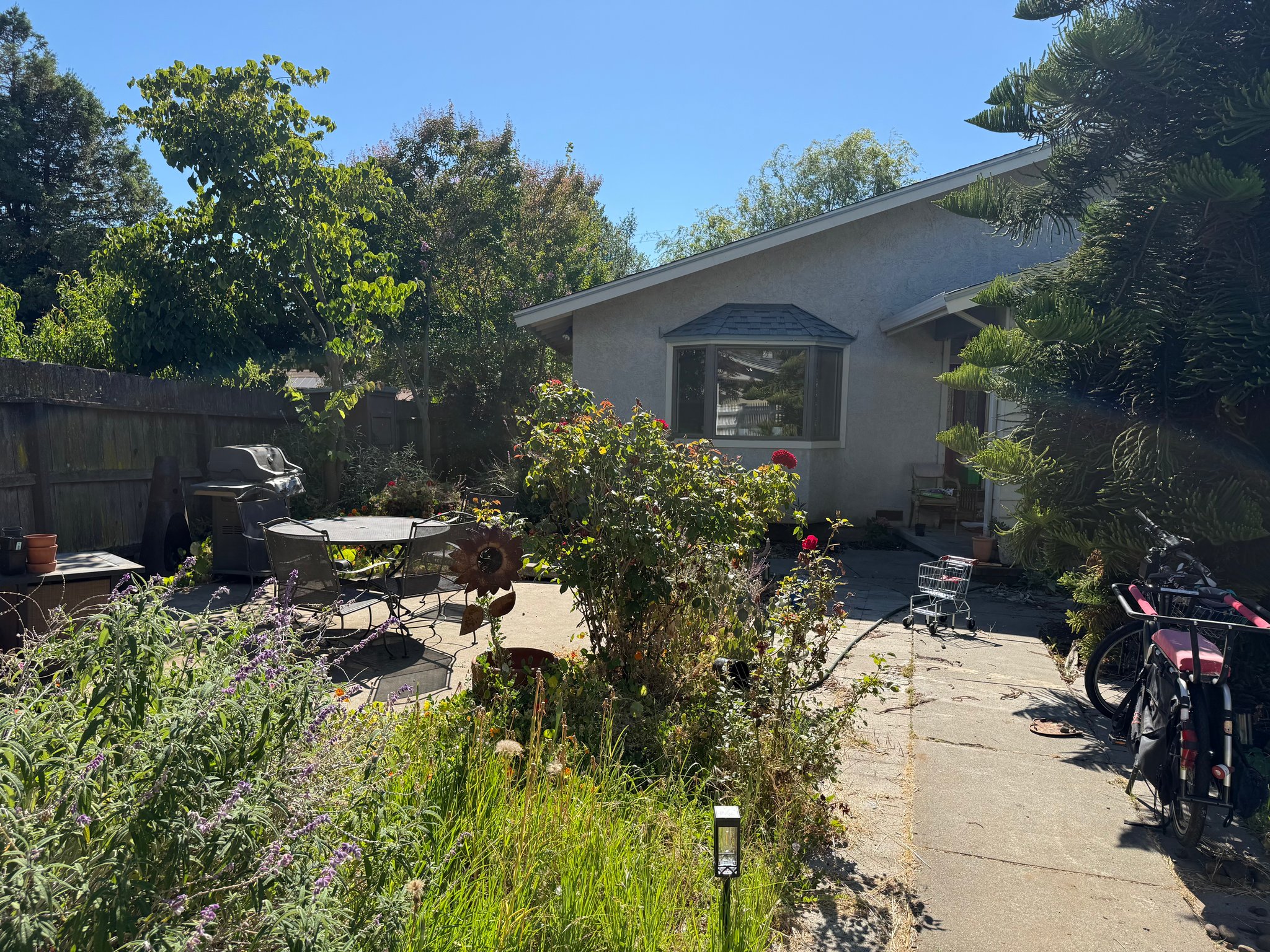 Vallejo House: 429 Maple Ave