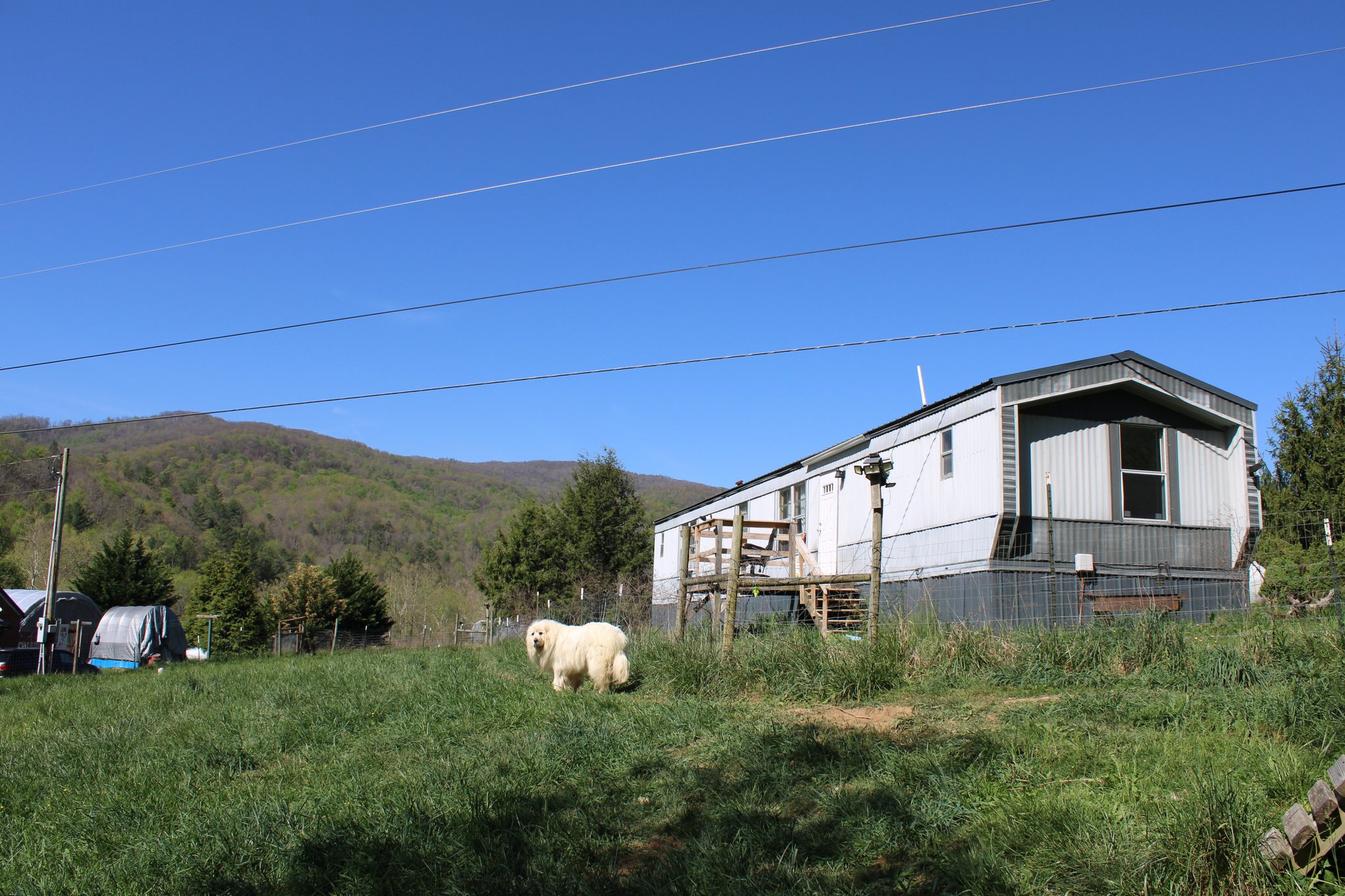 Roan Mountain House: 273 Old Railroad Grade Rd