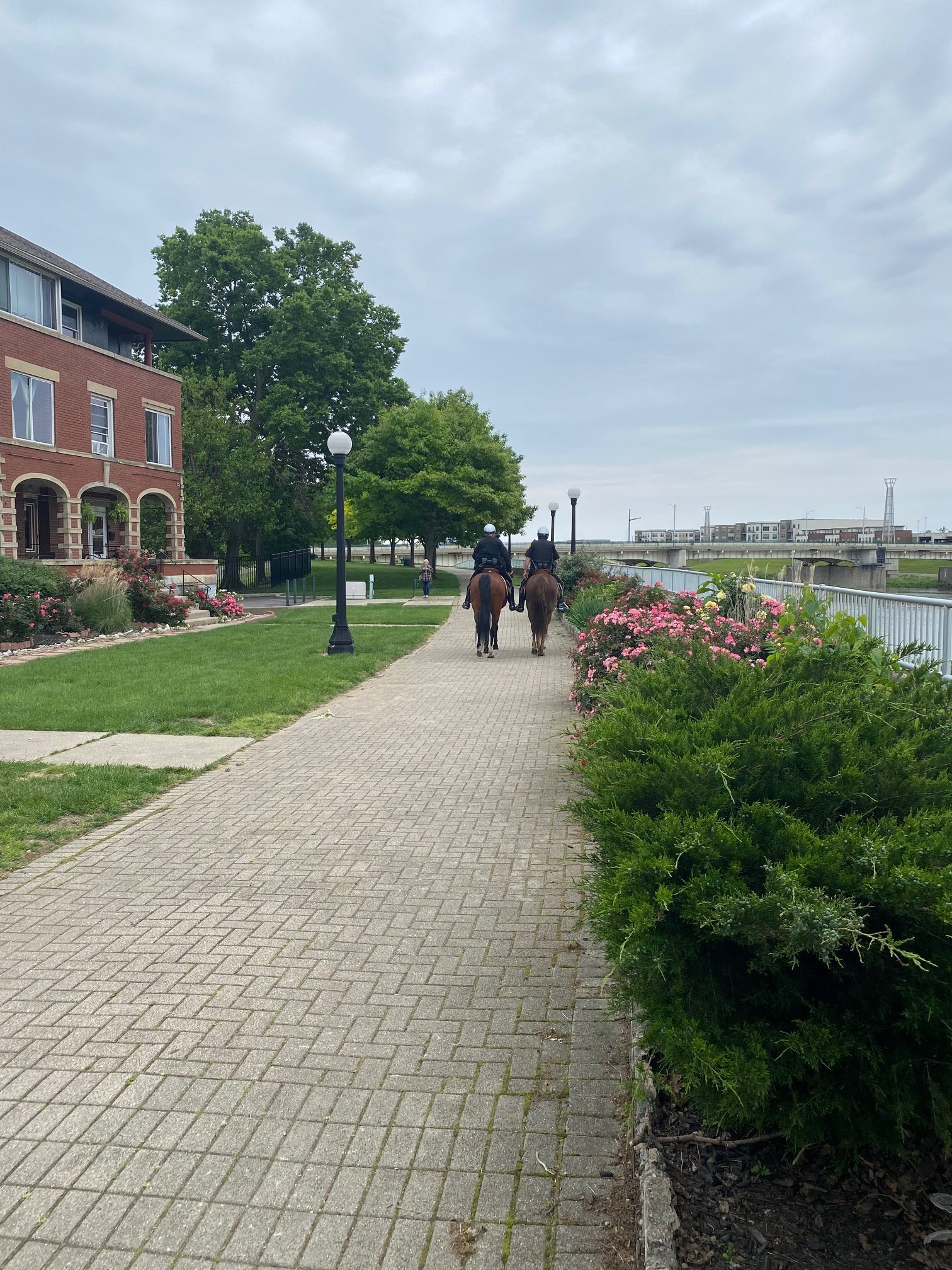 Dayton Apartment: 22 Emmet Street #15