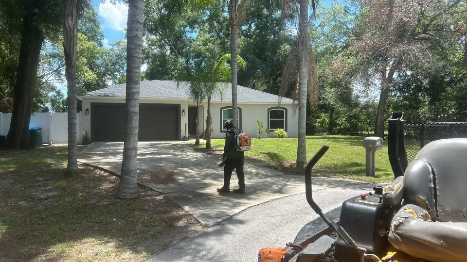 Deltona House: 3251 Planter Dr