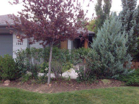 Park City House: 1061 Station Loop Rd