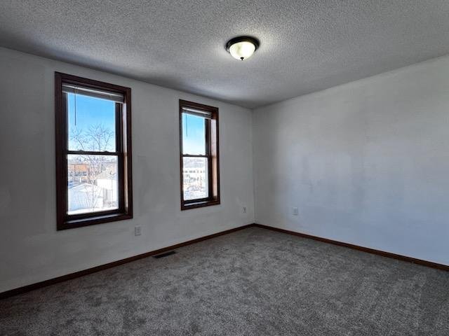 Chaska Townhome: 418 B North Walnut st chaska MN