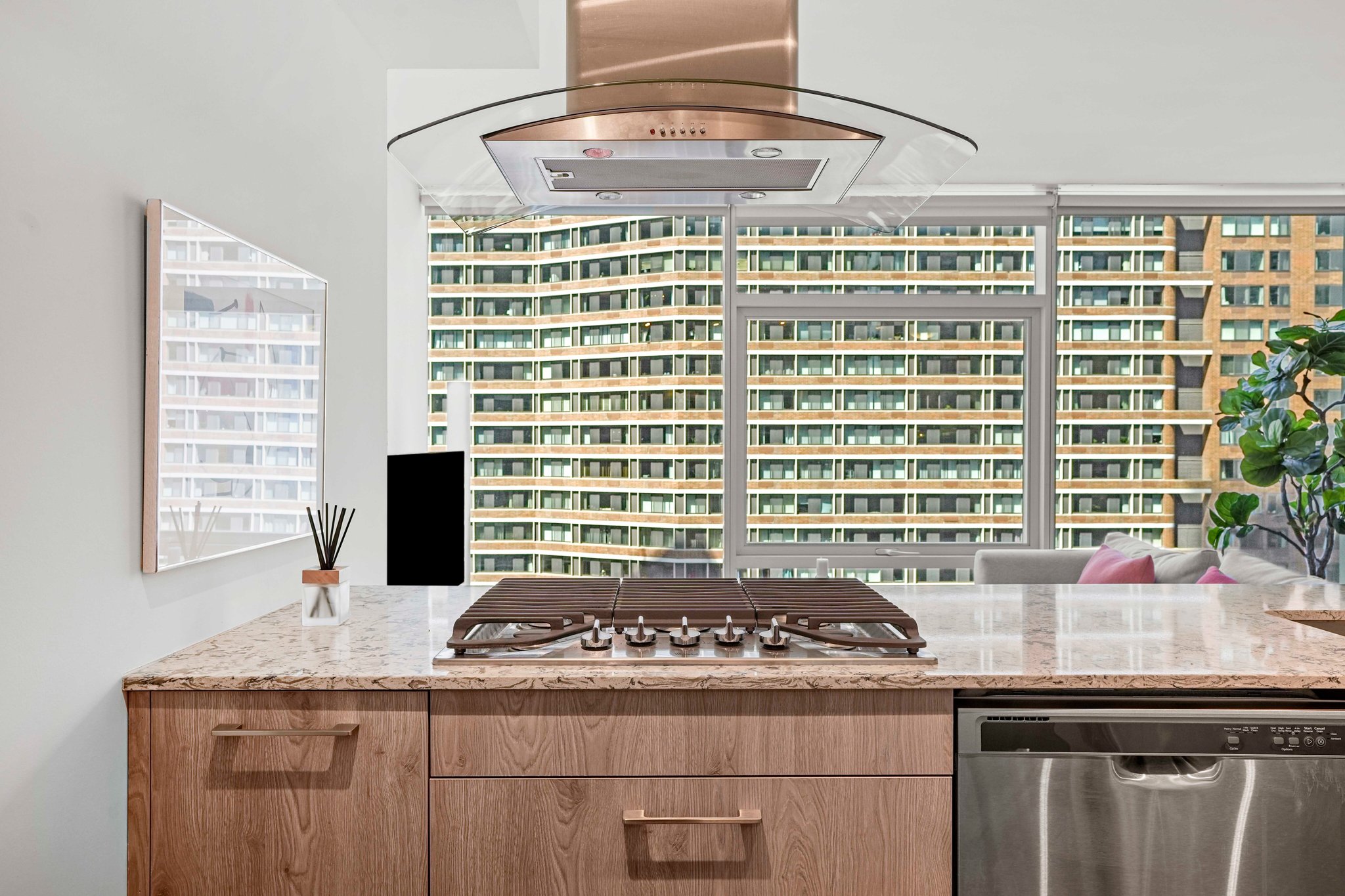 Chicago Condo: 241 E Illinois st
