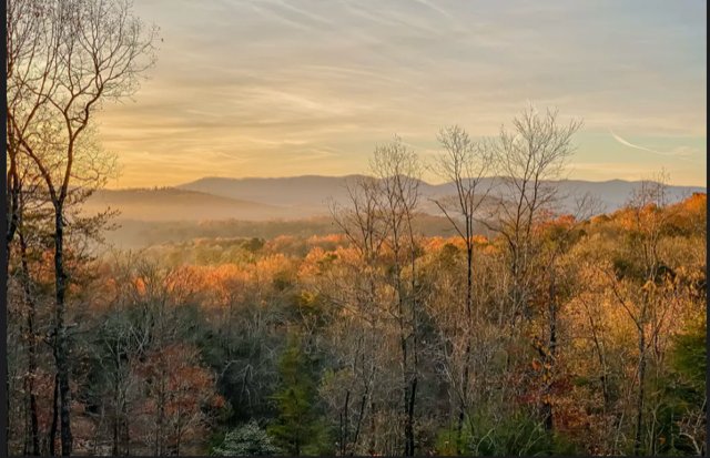 Blue Ridge House: 208 Wolf Trce
