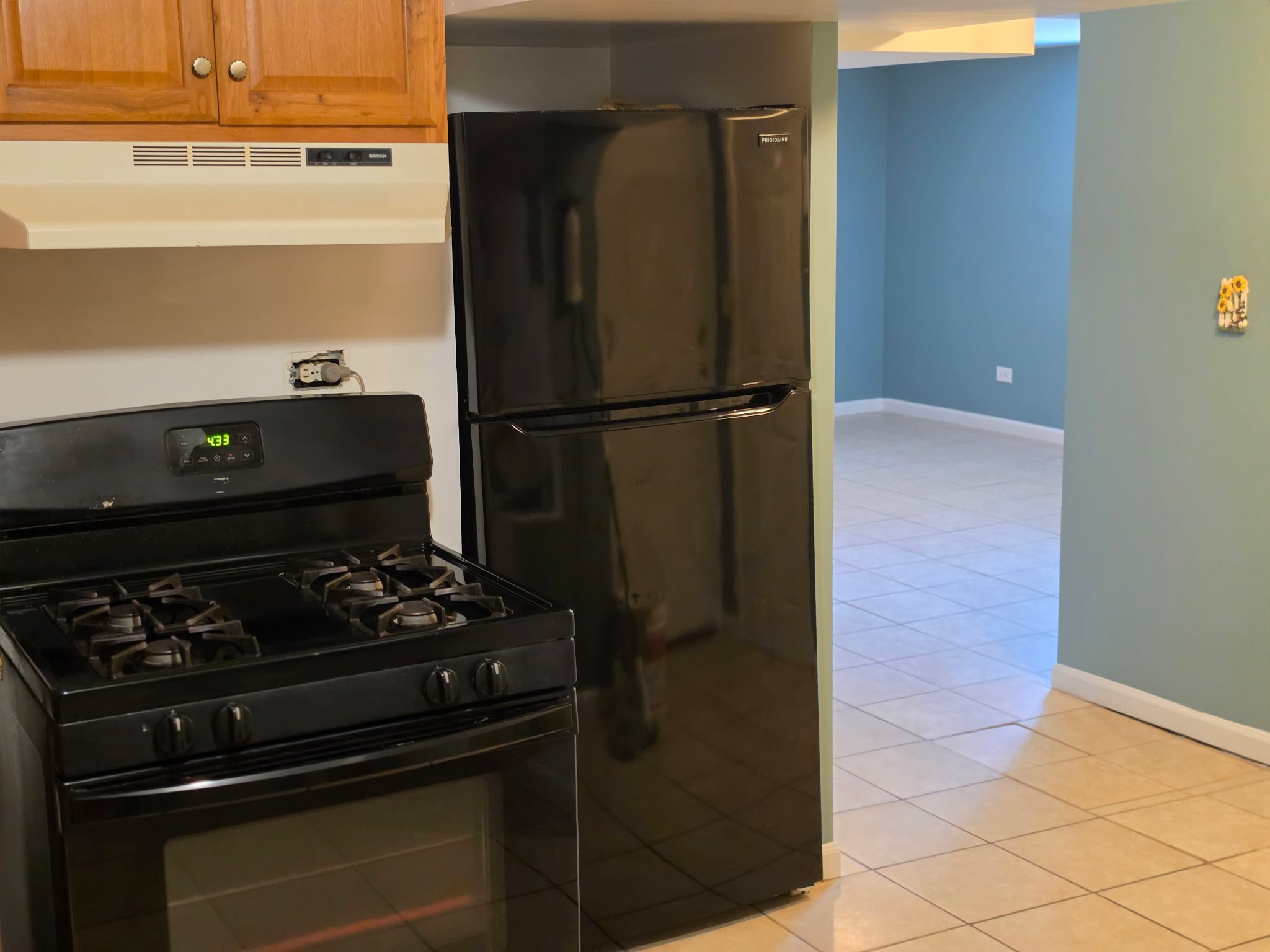 Chicago Apartment: 1408 W 94 Street Chicago IL