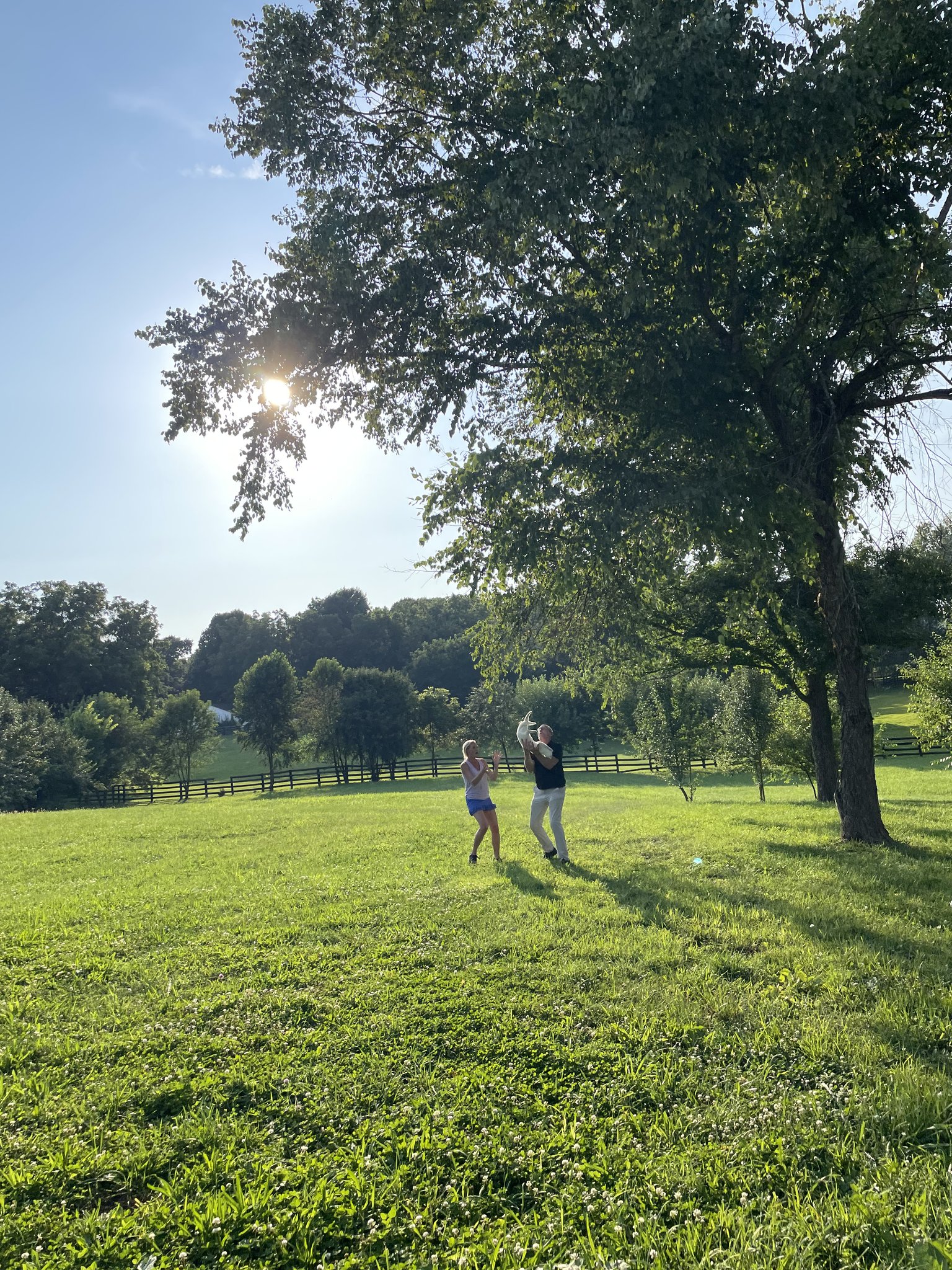 Versailles House: 702 Beaver Park