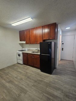 Honolulu Apartment: 1439 Kewalo Street