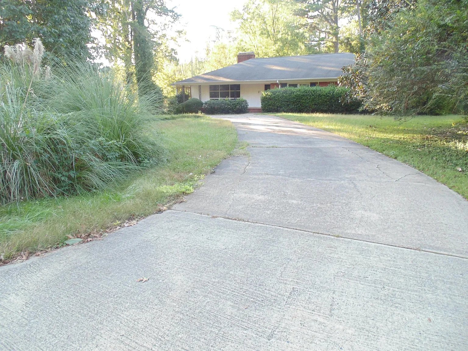 Charlotte House: 161 Shasta Ln