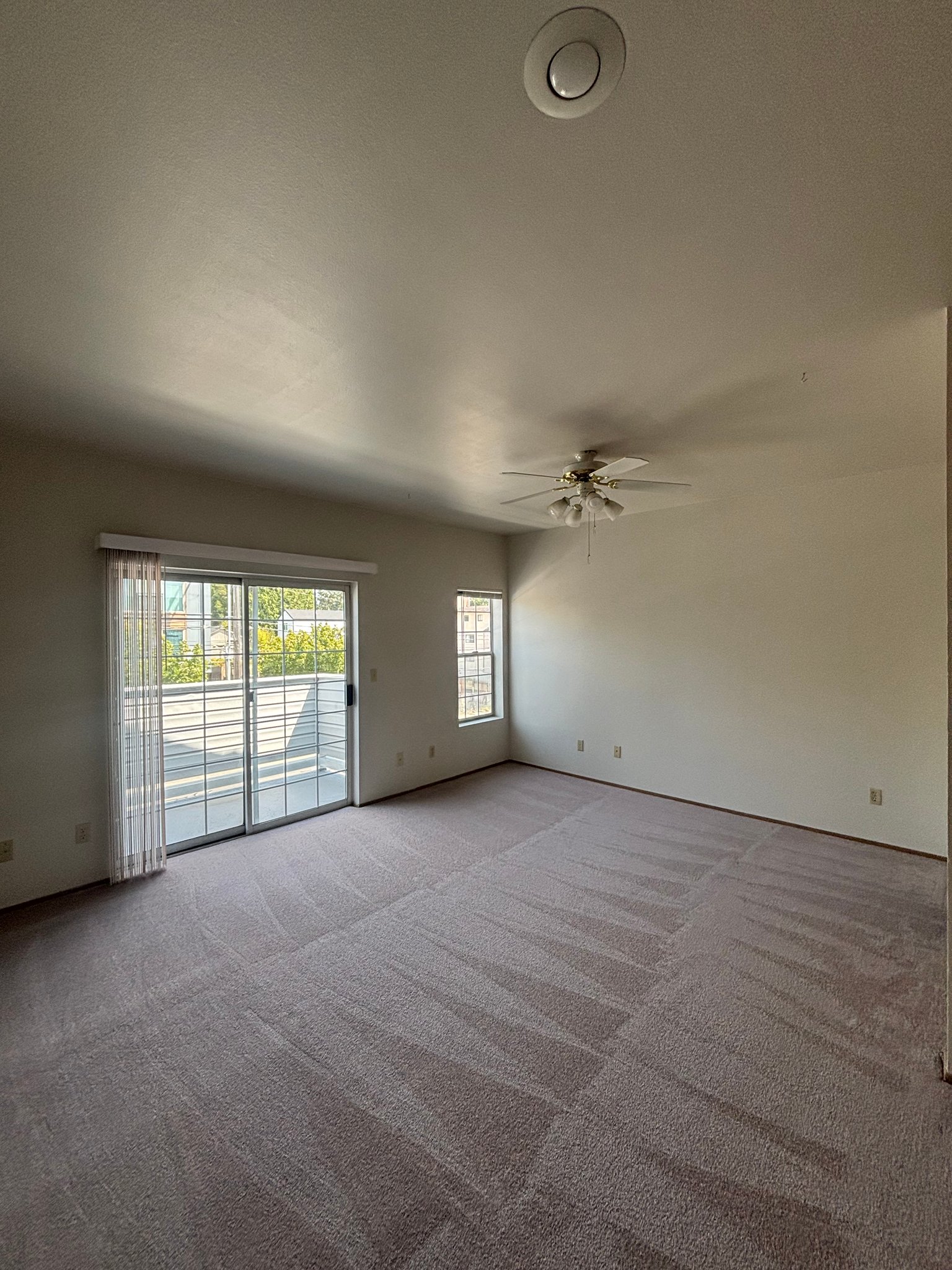 Seattle Apartment: 10545 Greenwood Ave. N., Unit 312