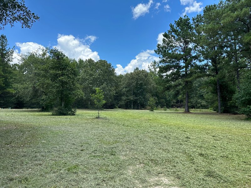 Zavalla Other: 310 Cotten Ln