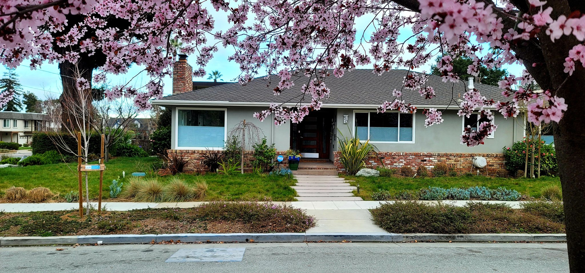 San Mateo House: 50 Hayward Ave