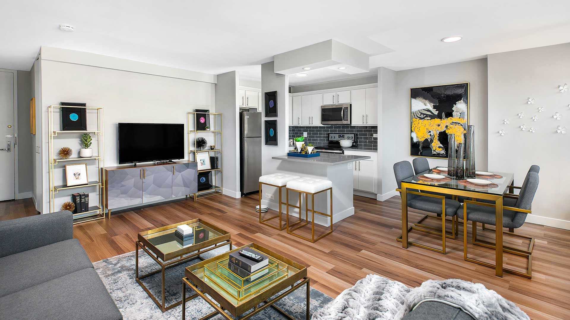 Chicago Condo: 1126 S Michigan Ave