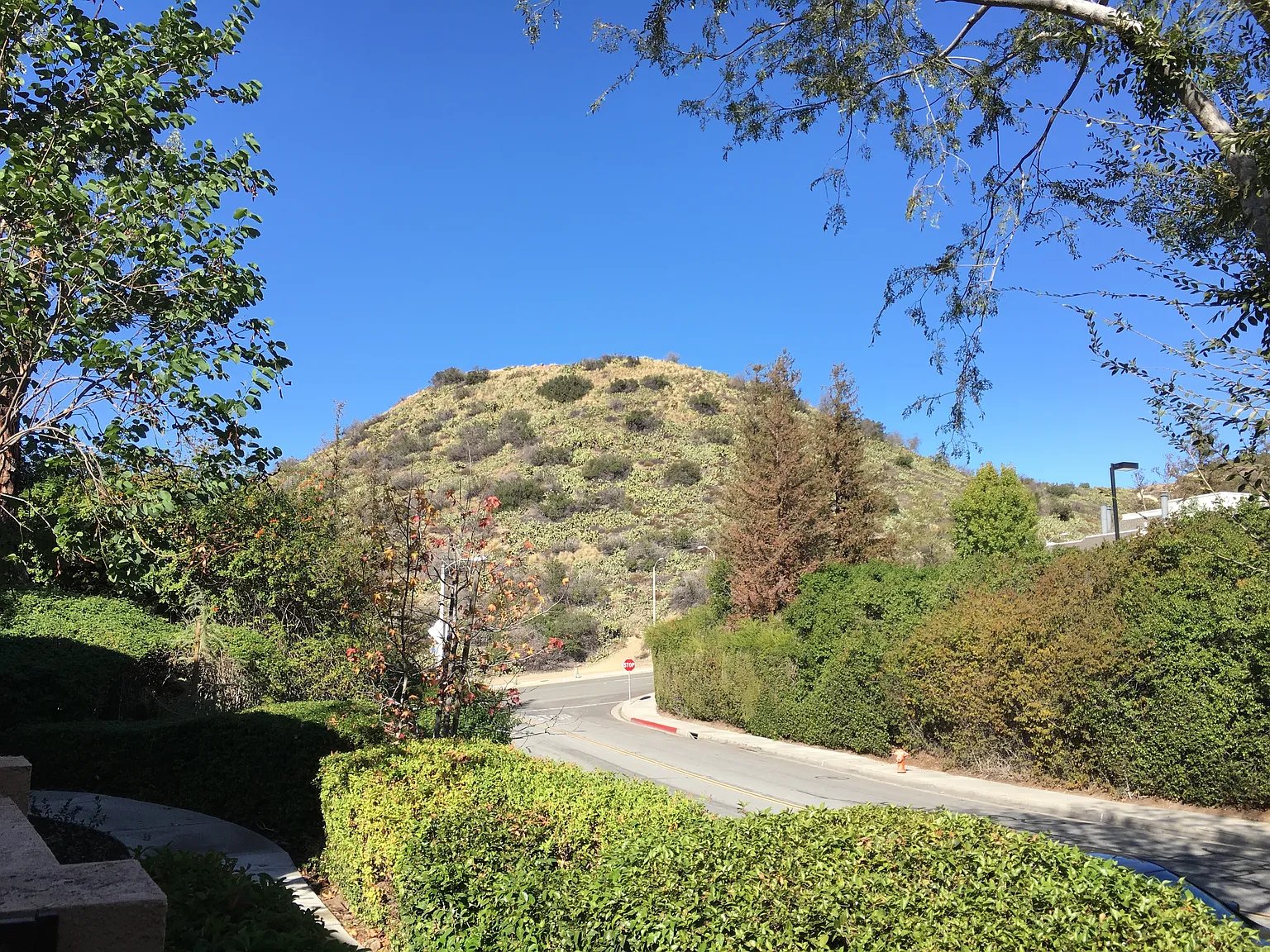 Orange Condo: 5722 E Stillwater Ave