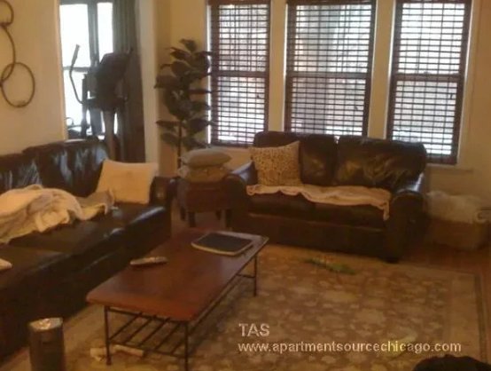 Chicago Condo: 1951 West Cuyler Avenue