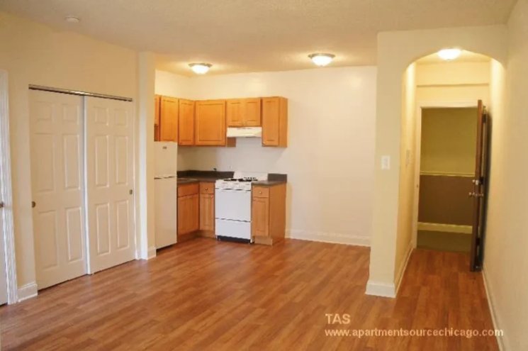 Chicago Condo: 1744 N Humboldt Boulevard