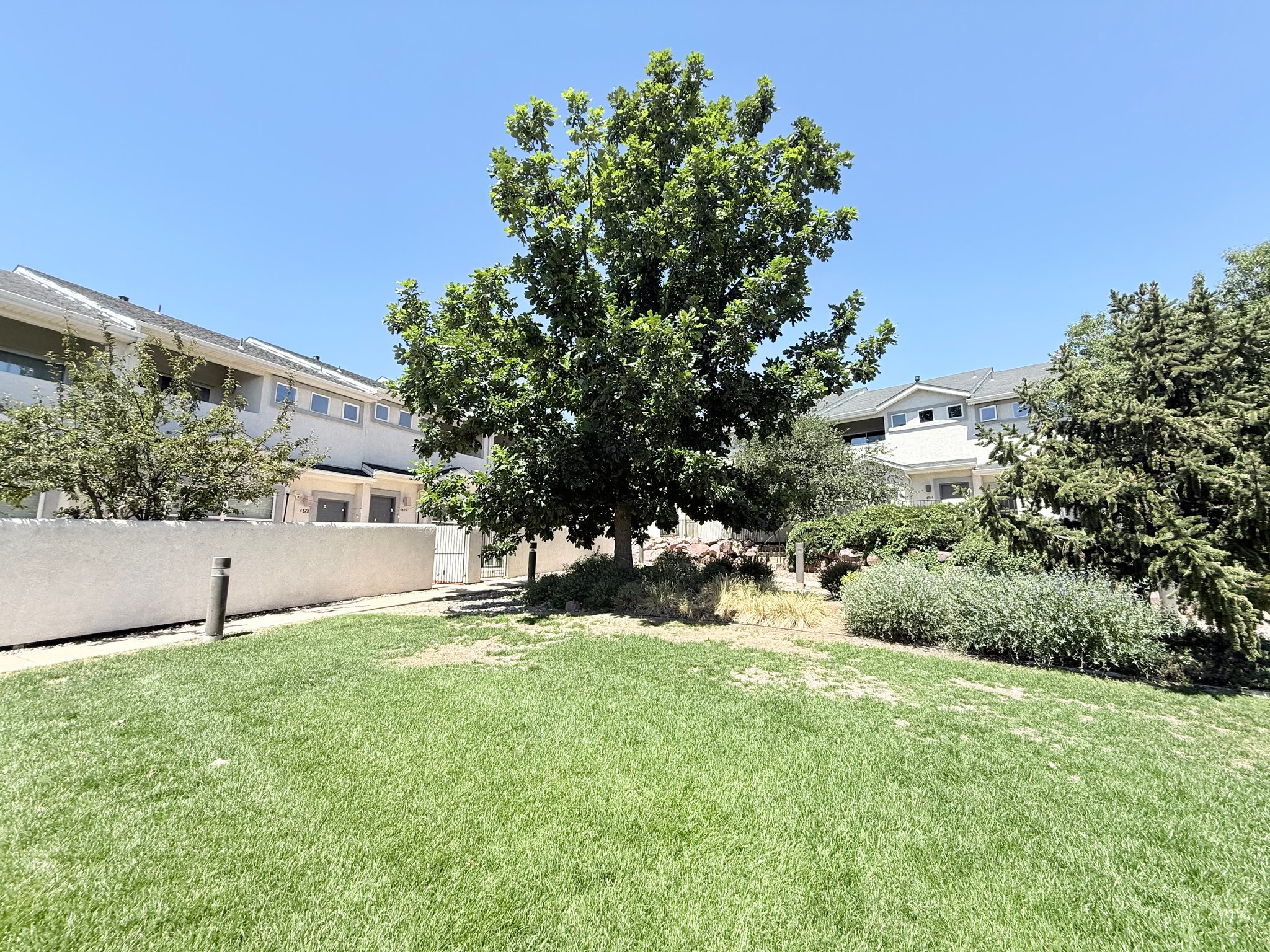 Colorado Springs Townhome: 4376 Prestige Pt