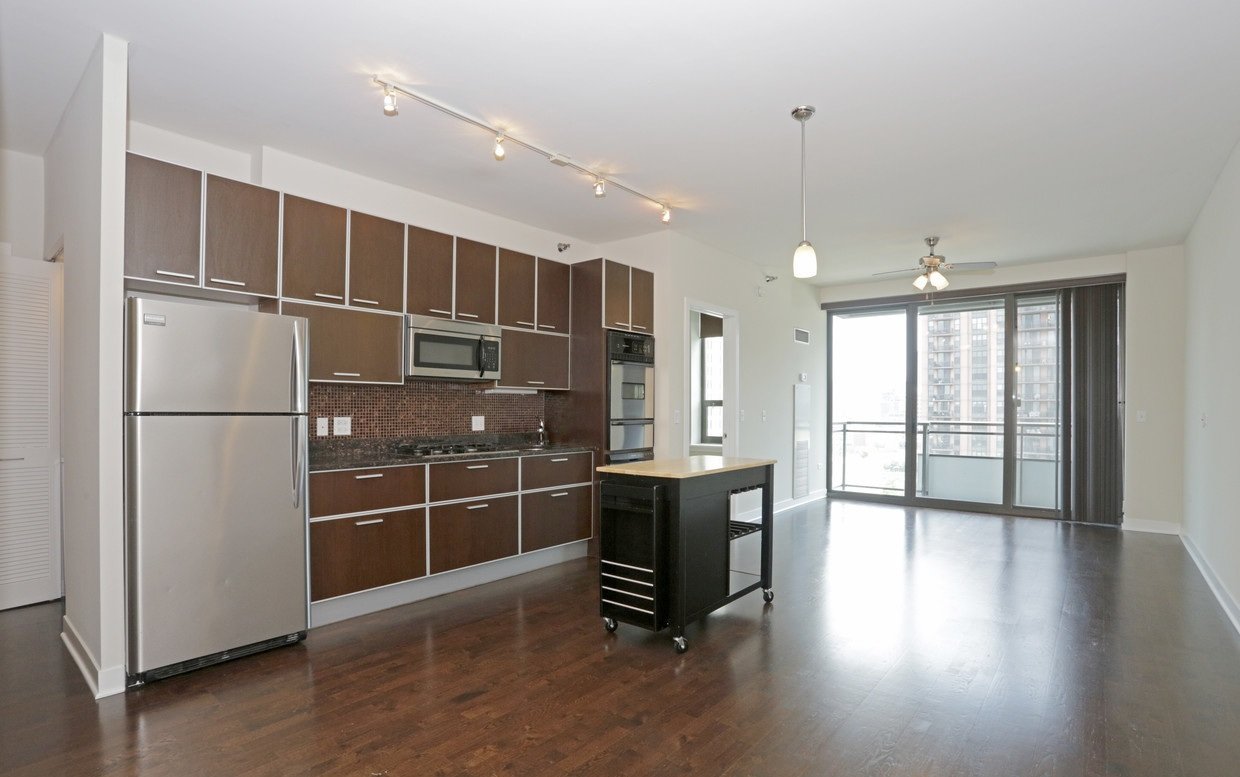 Chicago Condo: 697 W Wayman St