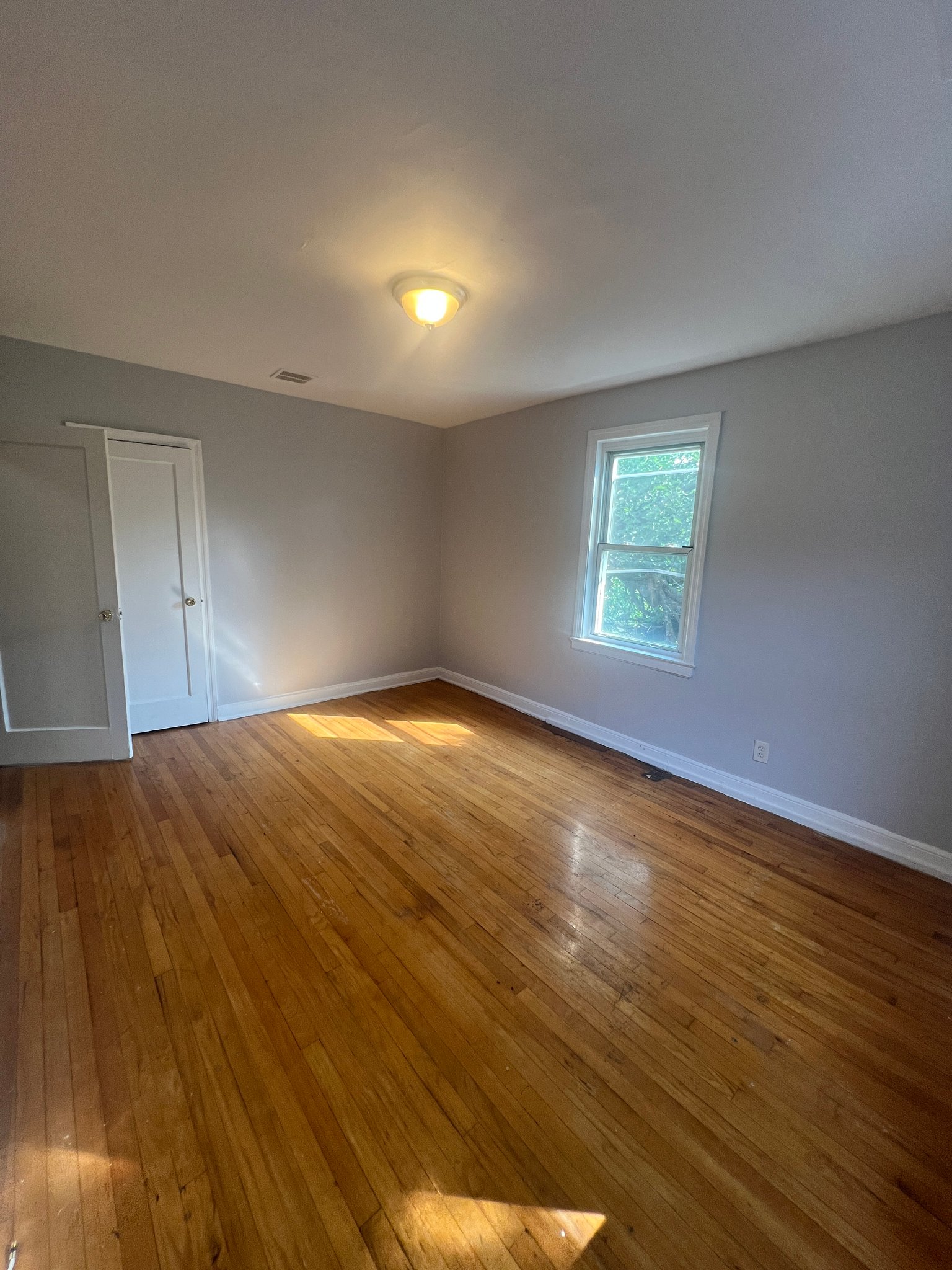Newark Apartment: 166 Chancellor Ave
