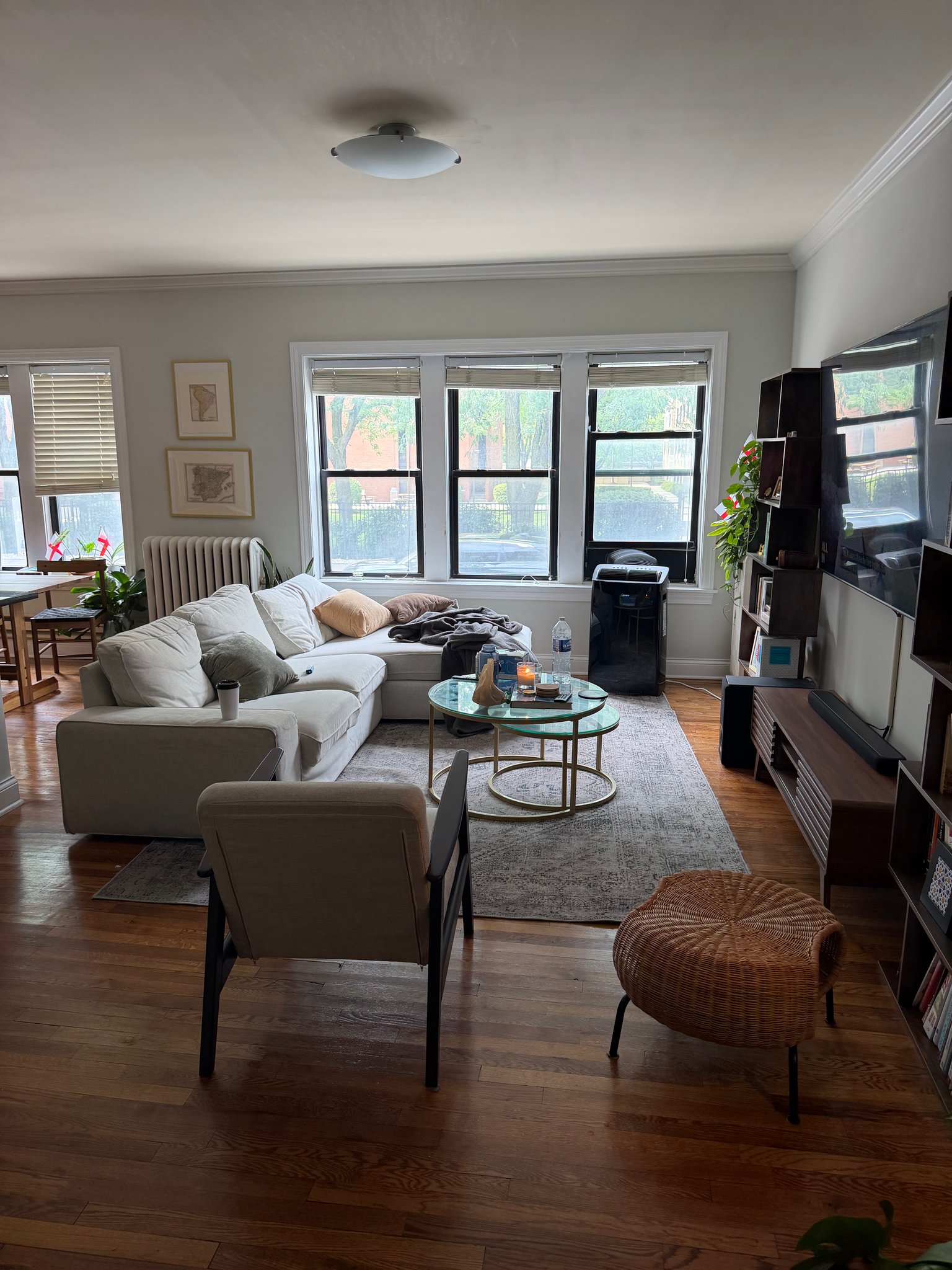Chicago Condo: 720 W Addison St