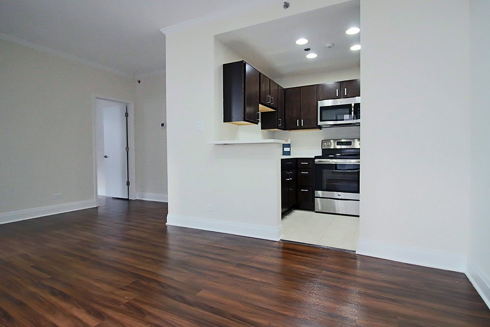 Chicago Condo: 208 E Chestnut St