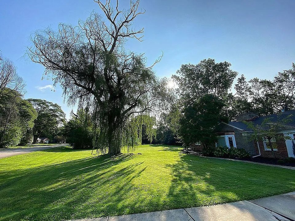 Beverly Hills House: 16249 Elizabeth St