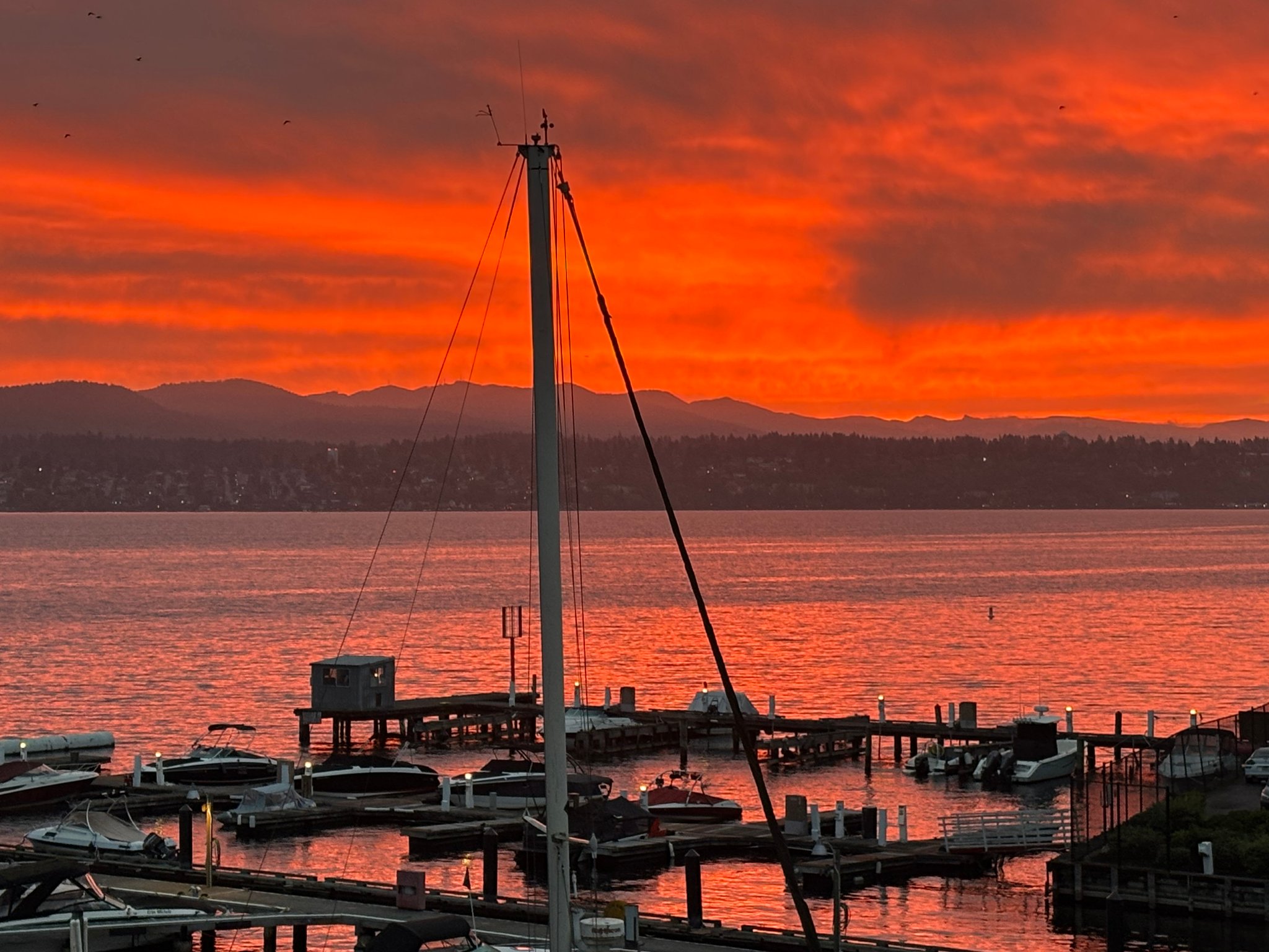 Seattle Condo: 9500 Rainier Ave S
