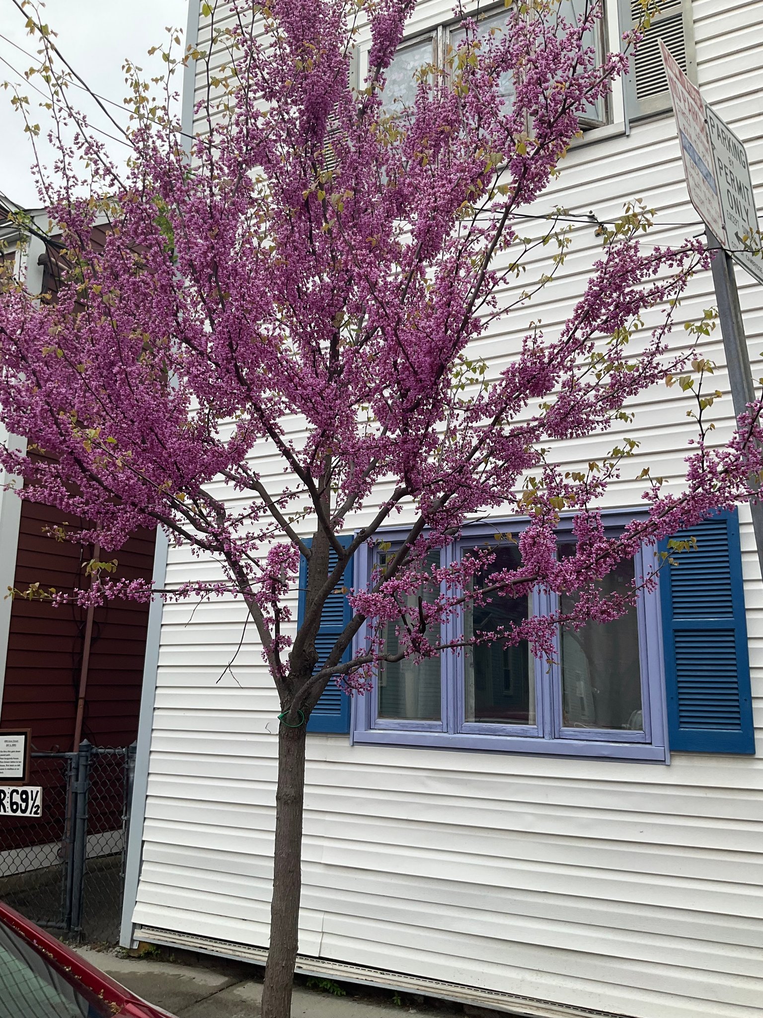 Cambridge Single Room: 67 Gore Street