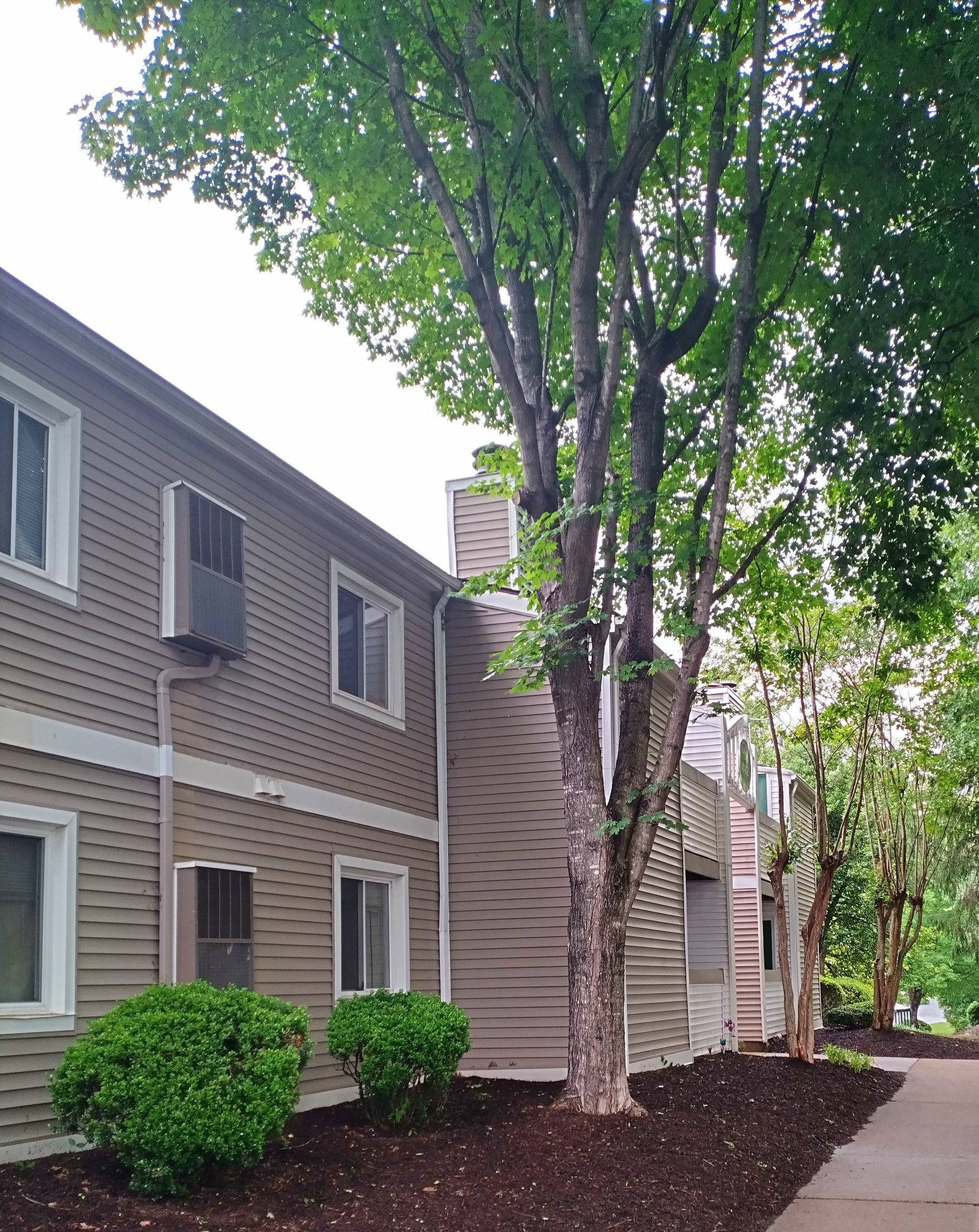 Lynchburg Apartment: 600 Reusens Road