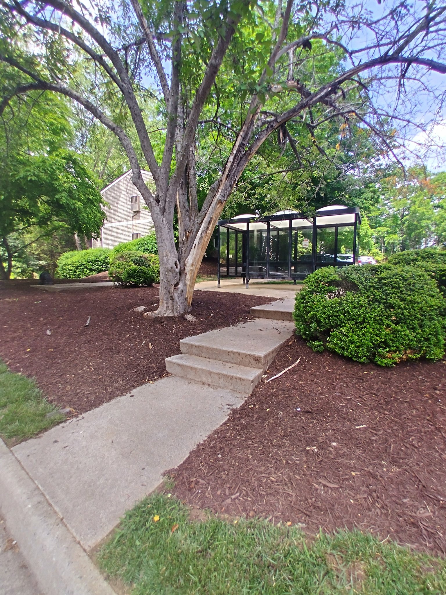 Lynchburg Apartment: 600 Reusens Rd
