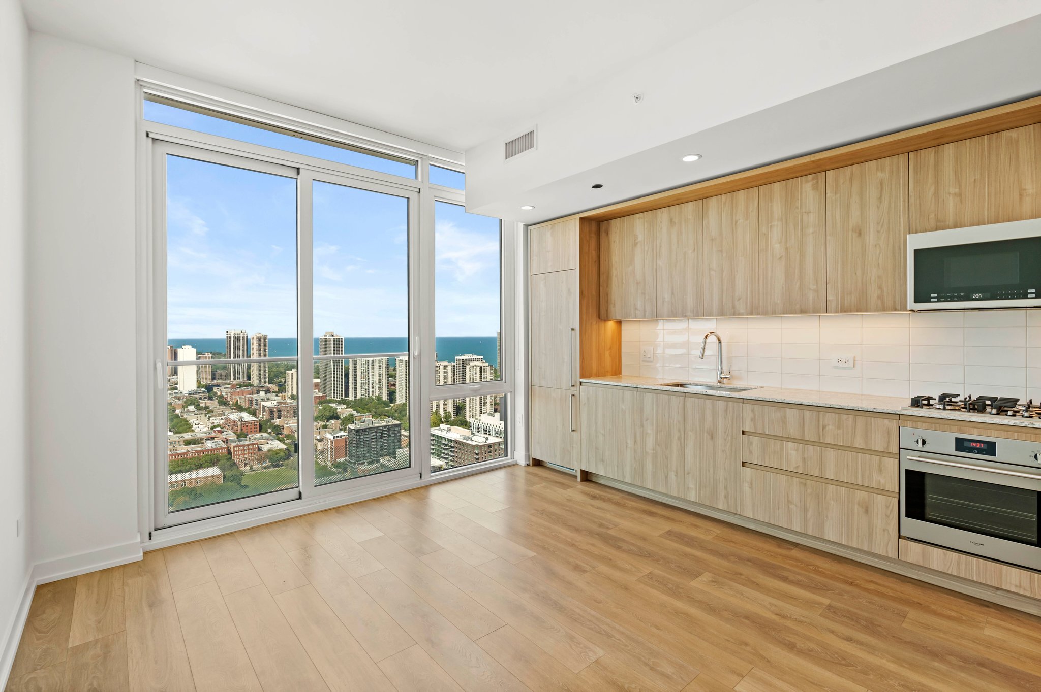 Chicago Condo: 229 W Hill St