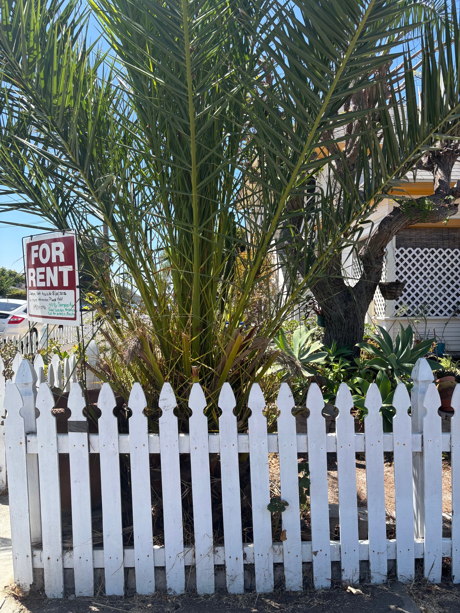 San Diego House: 4496 Campus Ave
