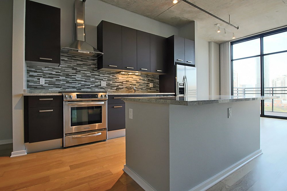 Chicago Condo: 1179 S Delano Ct