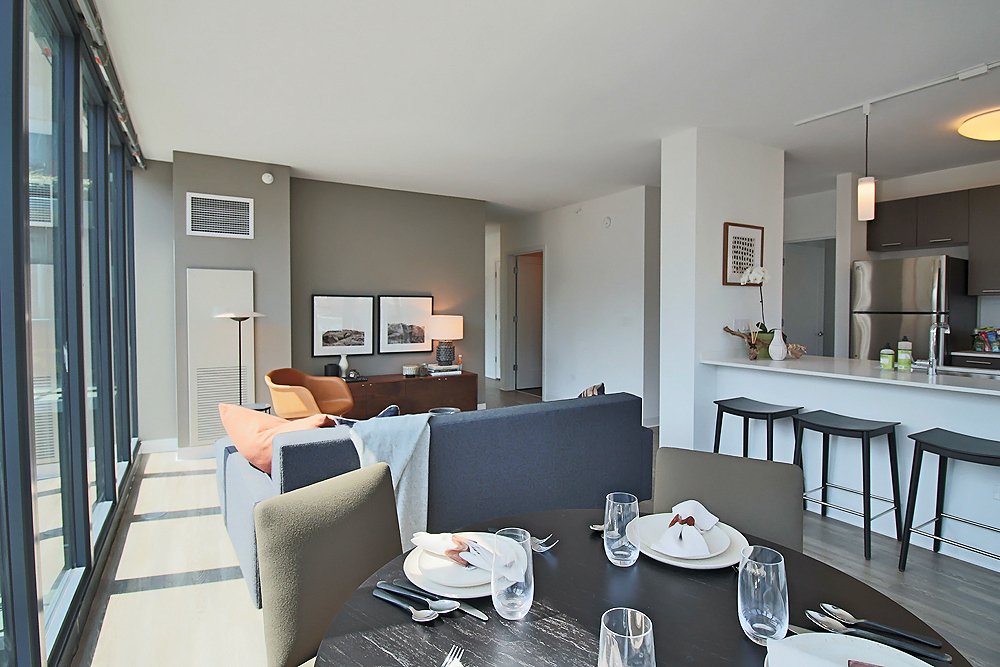Chicago Condo: 699 N Wells St