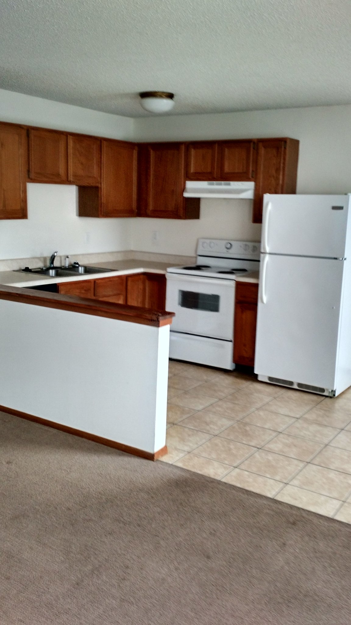 Festus Apartment: 333 Dublin Ln