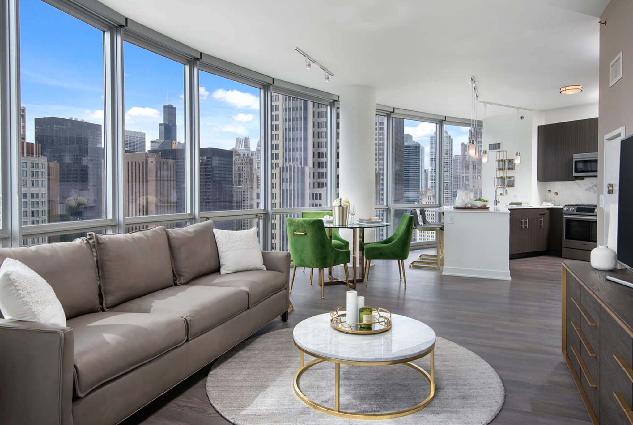 Chicago Condo: 475 North Park Dr