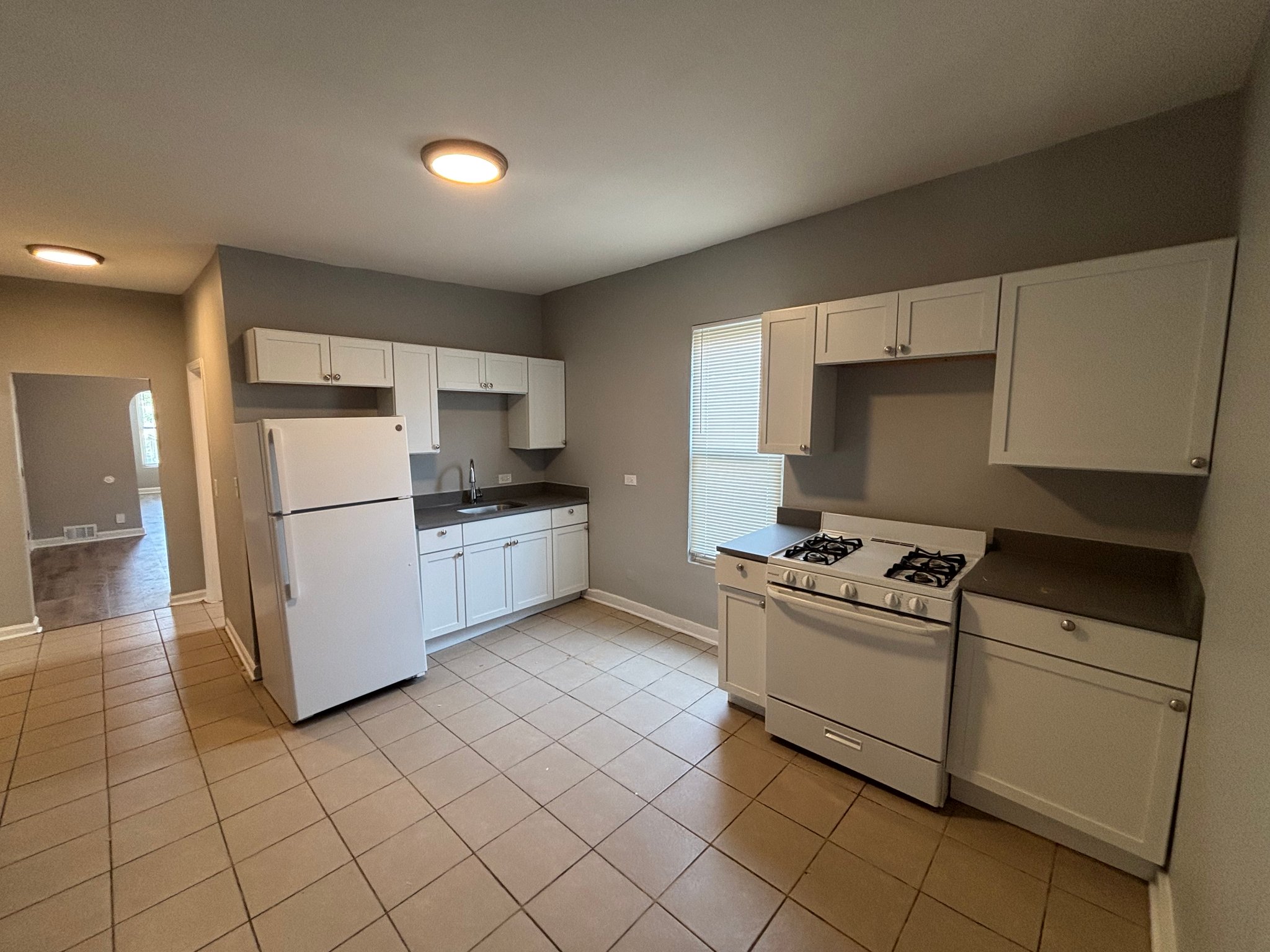 Chicago Multiplex: 707 E 92nd Pl