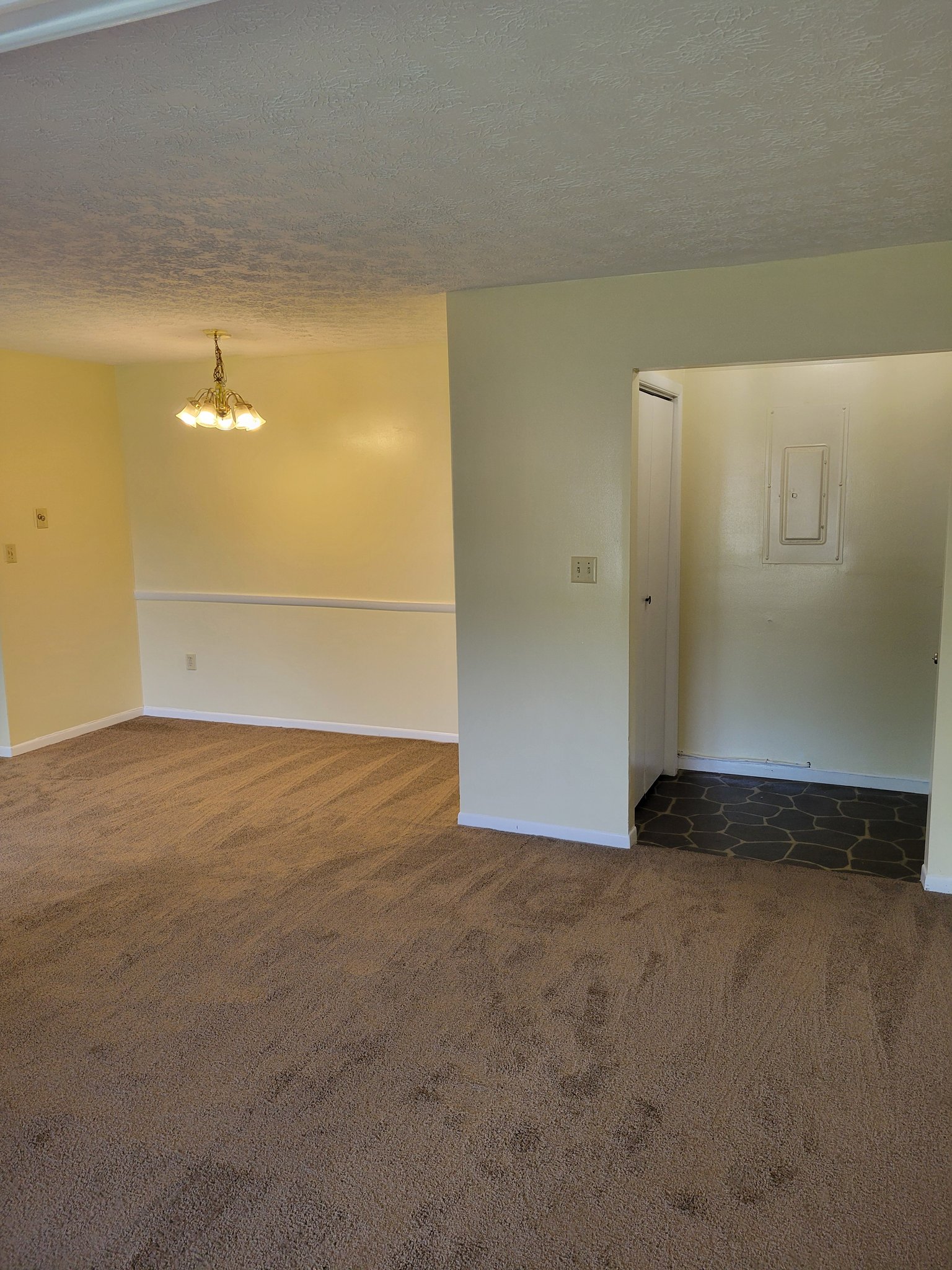 Flatwoods Apartment: 515 Powell Ln