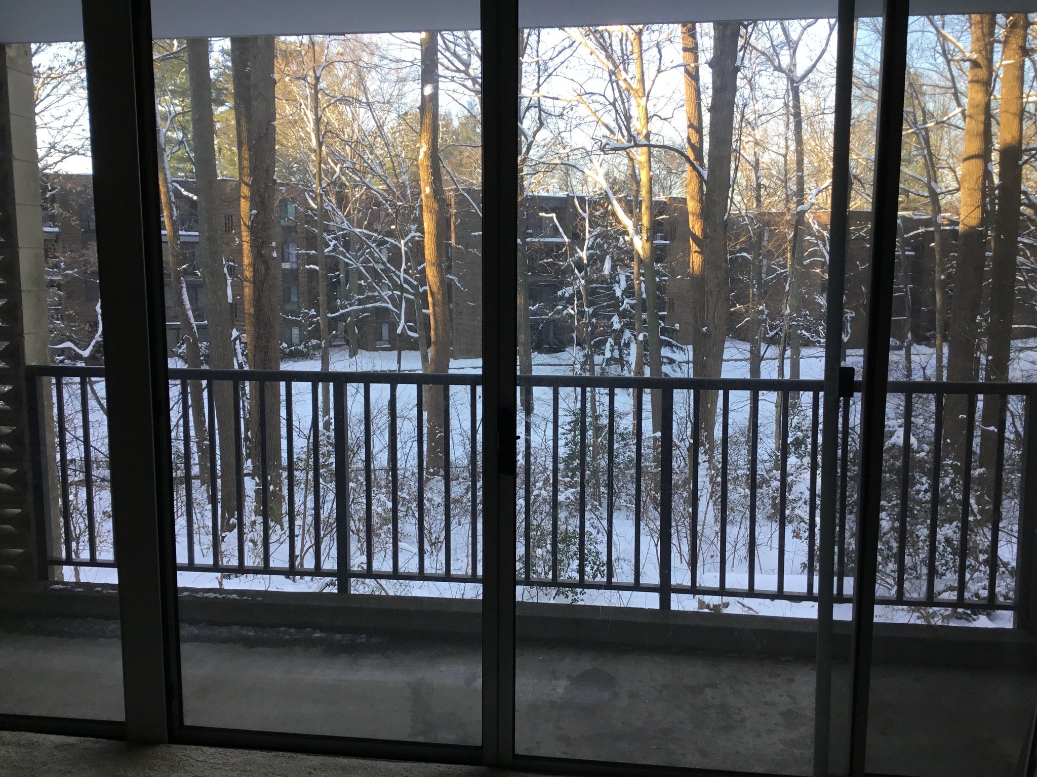 Annandale Condo: 4410 Briarwood Ct N